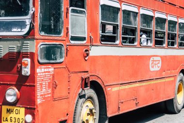 Hindistan'ın renkleri