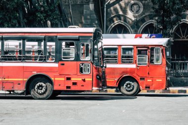 Hindistan'ın renkleri