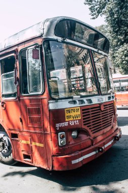 Hindistan'ın renkleri