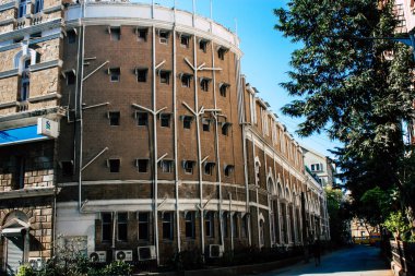 Hindistan'ın renkleri