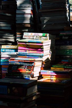 Hindistan'ın renkleri