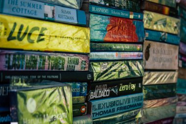 Hindistan'ın renkleri