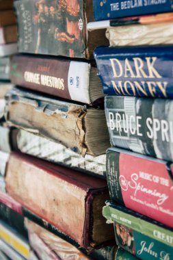 Hindistan'ın renkleri