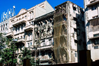 Hindistan'ın renkleri