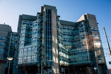 Hollanda'nın renkleri