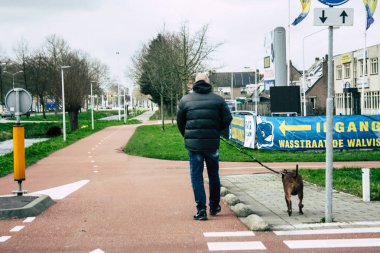 Hollanda'nın renkleri