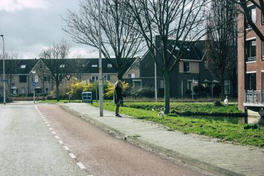 Hollanda'nın renkleri