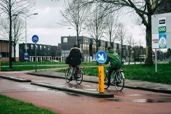 Кольори Нідерландів — стокове фото