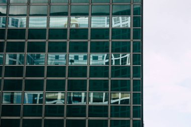 Hollanda'nın renkleri