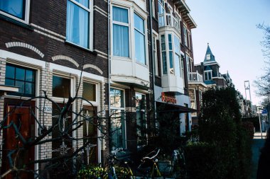 Hollanda'nın renkleri