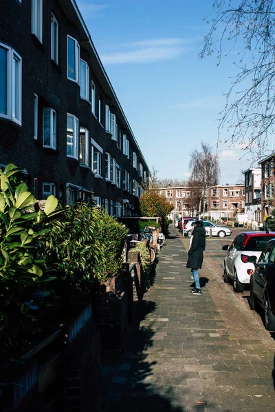 Hollanda'nın renkleri — Stok fotoğraf