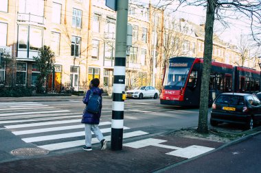 Hollanda'nın renkleri