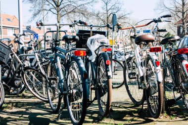 Hollanda'nın renkleri