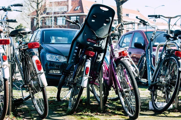 Farben der Niederlande — Stockfoto