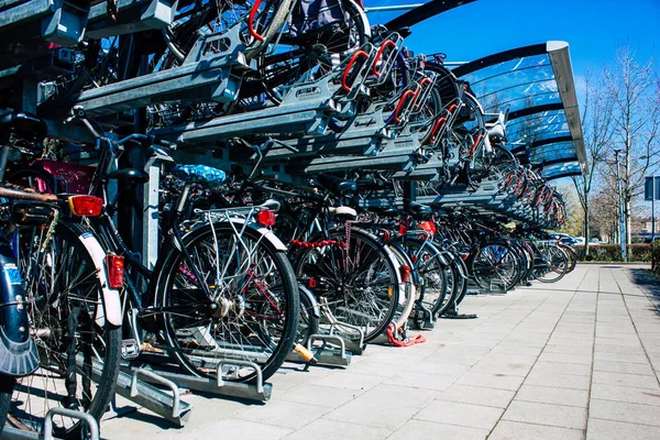 Colors of Netherlands — Stock Photo, Image