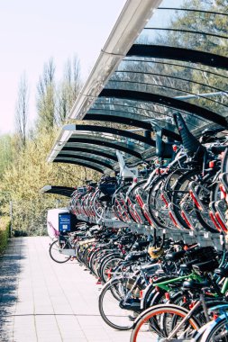 Hollanda'nın renkleri