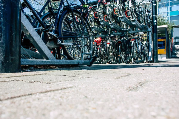 Colors of Netherlands — Stock Photo, Image