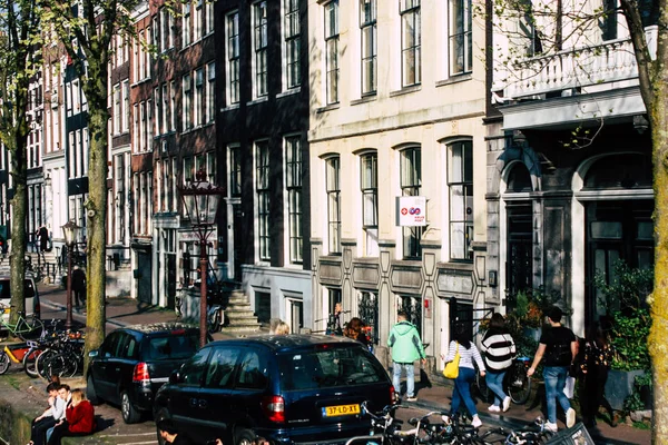 Kleuren van Nederland — Stockfoto