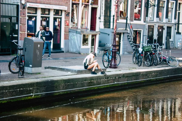Nederlands fargestoffer – stockfoto