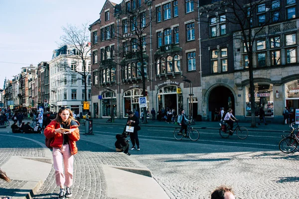 Kleuren van Nederland — Stockfoto