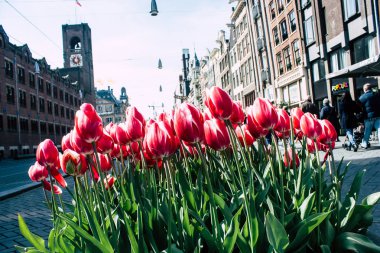 Hollanda'nın renkleri