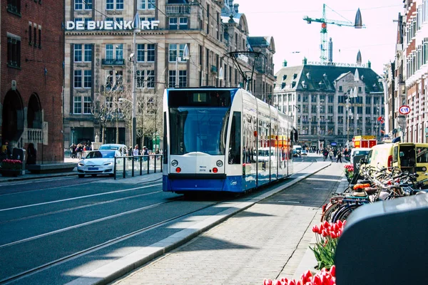 Kleuren van Nederland — Stockfoto