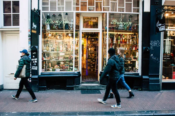 Kleuren van Nederland — Stockfoto