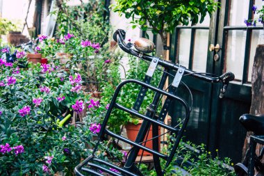 Hollanda'nın renkleri