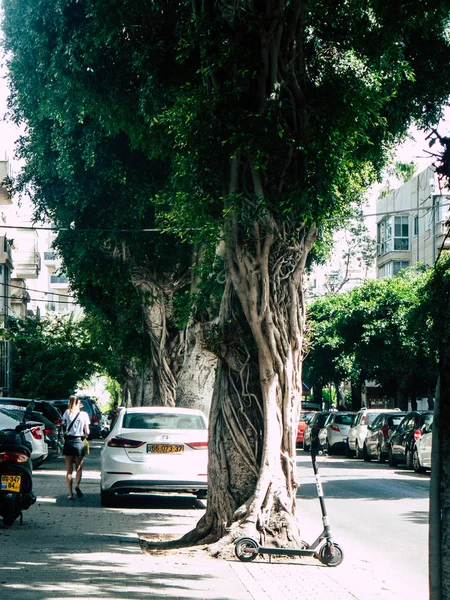 Cores de israel — Fotografia de Stock