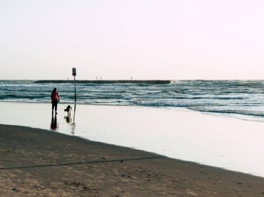 İsrail 'in Renkleri