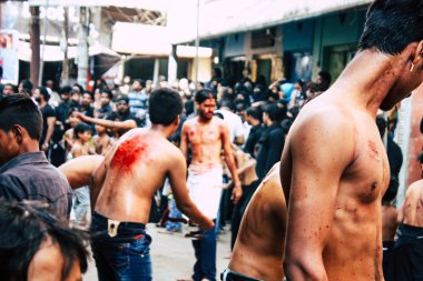 Hindistan'ın renkleri