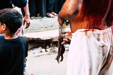 Hindistan'ın renkleri