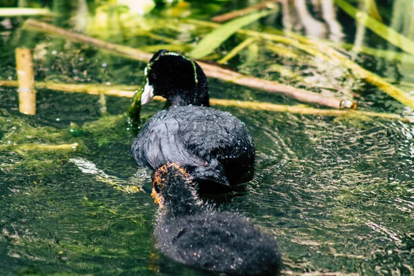 Natureza em França — Fotografia de Stock