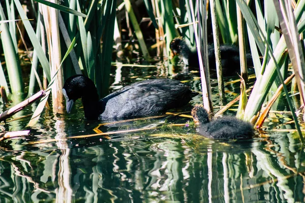 Natur in Frankreich — Stockfoto