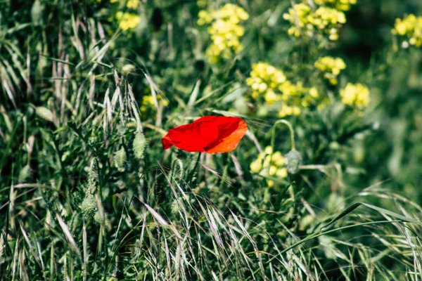 Doğa Fransa — Stok fotoğraf