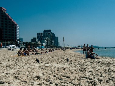 İsrail 'in Renkleri