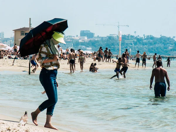 Colores de Israel —  Fotos de Stock