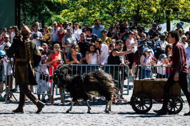 Fransa'nın renkleri
