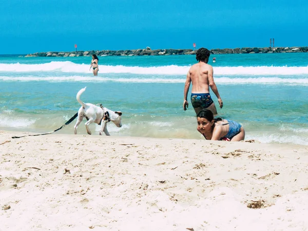 Cores de Israel — Fotografia de Stock