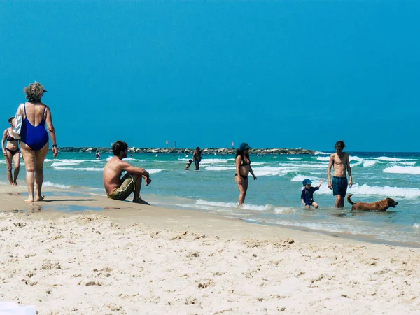 Cores de Israel — Fotografia de Stock