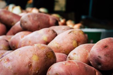 İsrail 'in Renkleri