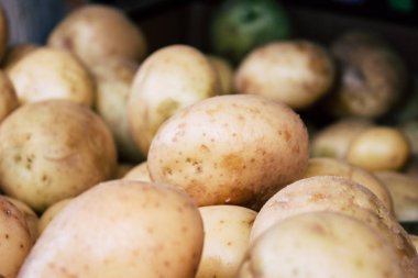 İsrail 'in Renkleri