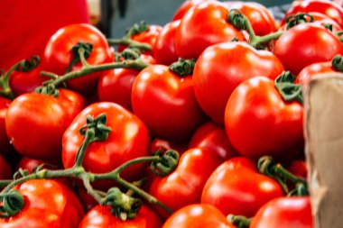 İsrail 'in Renkleri