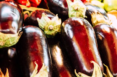 İsrail 'in Renkleri