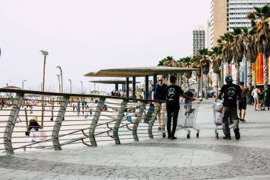 İsrail 'in Renkleri