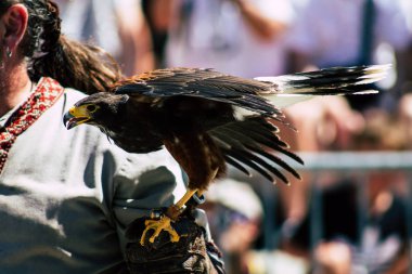Fransa'nın renkleri