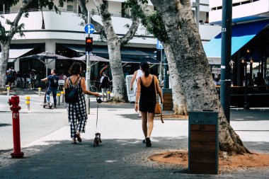 İsrail 'in Renkleri