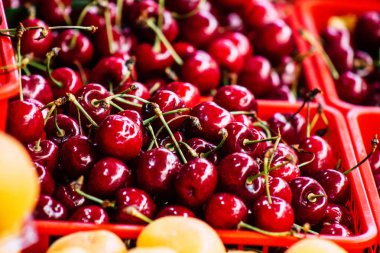 İsrail 'in Renkleri