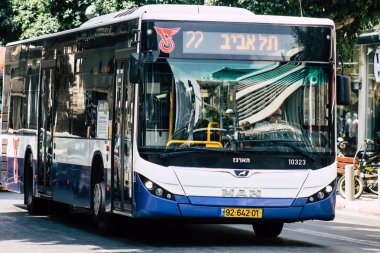 İsrail 'in Renkleri