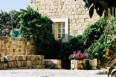 İsrail 'in Renkleri